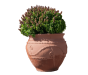 Expo Terracotta